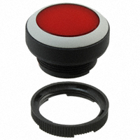 RAFI USA - 1.30250.0011308 - SWITCH PUSHBUTTON FLUSH ILLM RED