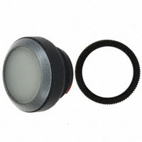 RAFI USA - 1.30250.0211000 - SW PB MOM ILLUM FLUSH RND WHITE