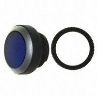 RAFI USA - 1.30250.0211600 - SW PB MOM ILLUM FLUSH RND BLUE