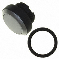 RAFI USA - 1.30250.1210200 - SWITCH PB MOM FLUSH ROUND WHITE