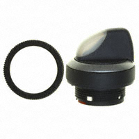 RAFI USA - 1.30252.0022200 - SWITCH SELECTOR MOM ILLUM 1X40
