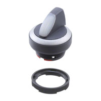 RAFI USA - 1.30252.0272200 - SWITCH SELECTOR MOM ILLUM 2X40