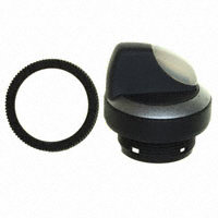 RAFI USA - 1.30252.1022200 - SWITCH SEL LAT ILLUM 1X90 FRM L