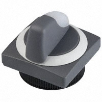 RAFI USA - 1.30252.1512208 - SWITCH SELECT ILLM SQ LATCH