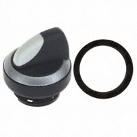 RAFI USA - 1.30252.5020200 - SWITCH SELECTOR MOM 1X40