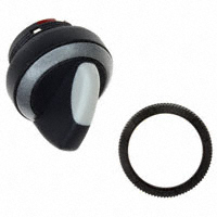 RAFI USA - 1.30252.5270200 - SWITCH SELECTOR MOM 2X40