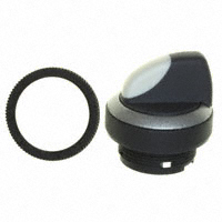 RAFI USA - 1.30252.7020200 - SWITCH SELECTOR LAT 1X90 FRM V