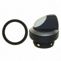 RAFI USA - 1.30252.8020200 - SWITCH SELECTOR LAT 2X60