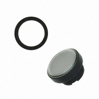 RAFI USA - 1.74506.0011000 - SWITCH CAP IND RND COLRLESS