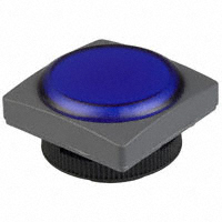 RAFI USA - 1.74506.0511600 - SWITCH CAP INDICATOR SQ BLU