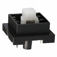 RAFI USA - 3.13012.5020000 - SWITCH PUSHBUTTON