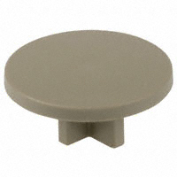 RAFI USA - 5.46011.0360710 - PLUNGER EXTENSION 9.0MM