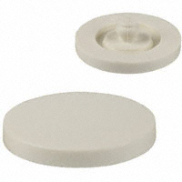 RAFI USA - 5.46167.3010209 - PLUNGER 8.0MM X 6.5MM HT