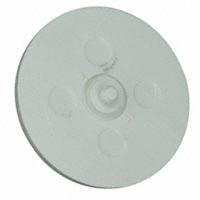 RAFI USA - 5.46169.0420209 - PLUNGER 19MM X 7.0MM HT