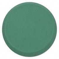 RAFI USA - 5.49263.0140500 - LENS OPAQUE GREEN