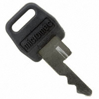 RAFI USA - 5.58007.0010000 - KEY