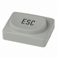 RAFI USA - 5.80071.1849216 - CAP KEYSWITCH RECT DARK GRAY