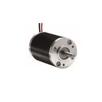 Crouzet - 89810007 - MOTOR DC 898100 12V 4000RPM